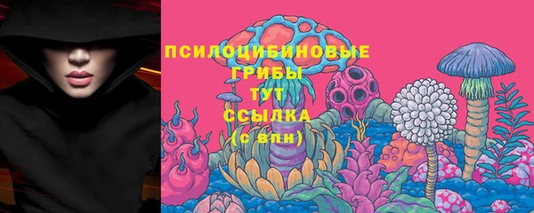 МДПВ Бугульма